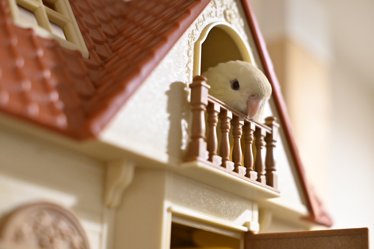 Home Inspection Franchise vs Independent Business: What Inspectors Should Know Before Choosing a Path